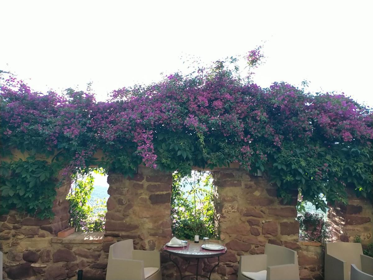 El Jardin Vertical Vilafames Exteriör bild
