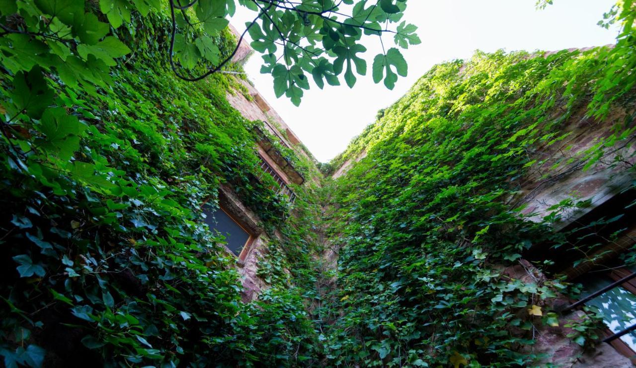 El Jardin Vertical Vilafames Exteriör bild