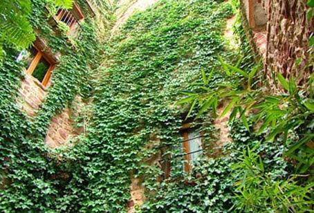 El Jardin Vertical Vilafames Exteriör bild